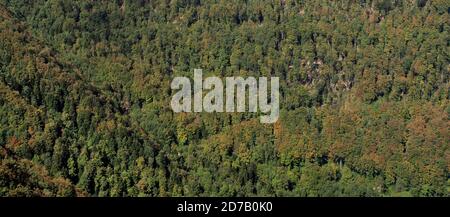 Blick von der Spitze eines Waldes im Frühherbst Stockfoto