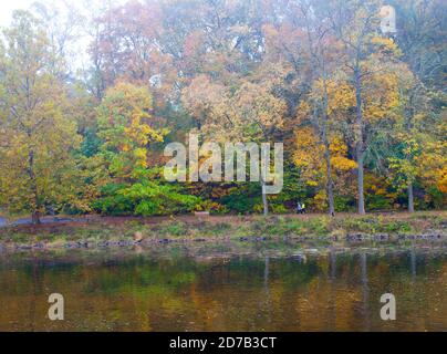 Newtown, Usa. Oktober 2020. Zwei Frauen laufen an einem nebligen Morgen an der Neshaminy Creek Brücke am Mittwoch, den 21. Oktober 2020 im Tyler State Park in Newtown, Pennsylvania, entlang eines Pfades durch das farbenfrohe Herbstlaub. Kredit: William Thomas Cain/Alamy Live Nachrichten Stockfoto