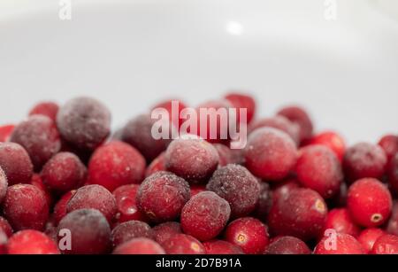 Nahaufnahme - gefrorene Preiselbeeren, Vaccinium oxycoccos Stockfoto