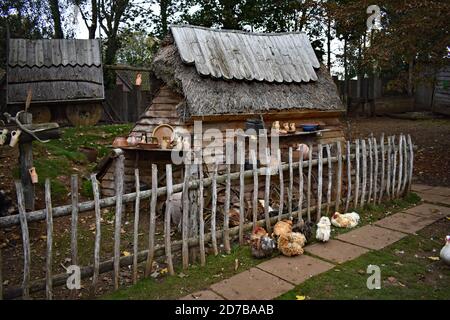 Die Töpfer Scheune und Gebäude mit Hähne (Gallus gallus domesticus), Cokerels, Hühner und Hühner draußen auf Stansted Mountfitchet Castle in Essex. Stockfoto