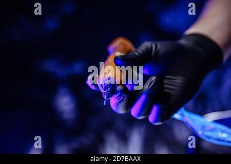 Tattoomaschine in den Händen eines Tattoo-Künstlers. Dunkles Studio mit blauem Licht. Stockfoto