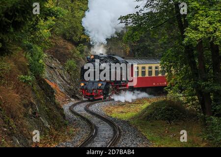 Historischer Zug im Harz. Schmalspurbahn in den Bergen bei Regenwetter im Herbst. Dampflokomotive mit Waggonantrieb auf einer Schiene Stockfoto