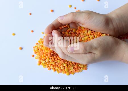 Kleine Hände mit einer Portion gelber und roter Linsen Stockfoto