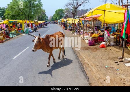 Typische Straßenszene: Kuh, die auf der Straße durch Stände geht, die lokale Lebensmittel verkaufen, auf einem belebten Straßenmarkt in einem Dorf in Madhya Pradesh, Indien Stockfoto