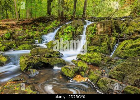 Selke Wasserfall im südlichen Harz. Selke Fluss mit moosbedeckten Felsen. Laubbäume am Flussufer und gelbe Blätter auf der Oberfläche des W Stockfoto