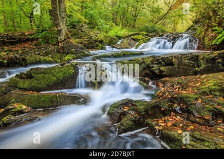 Selke Wasserfall im Harz. Flusslauf mit moosbedeckten Felsen und Steinen. Laubbäume am Flussufer. Saisonale Blätter auf der Oberfläche der Stockfoto