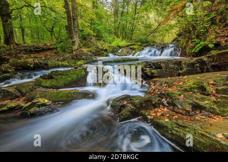 Wasserfall im Südharz. Der Verlauf des Flusses vom Selke Wasserfall mit moosbedeckten Felsen und Steinen. Laubbäume und Farne auf dem Stockfoto