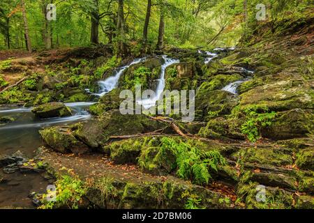 Mehrere Felsen mit Wasserfall im Südharz. Der Lauf des Flusses vom Selke Wasserfall mit moosbedeckten Steinen. Laubbäume und fe Stockfoto