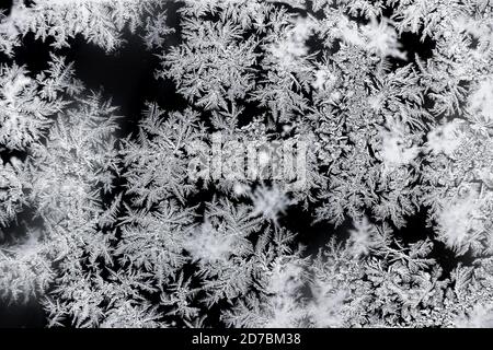 Eisfrost auf dem Fenster mit schwarzem Hintergrund Stockfoto
