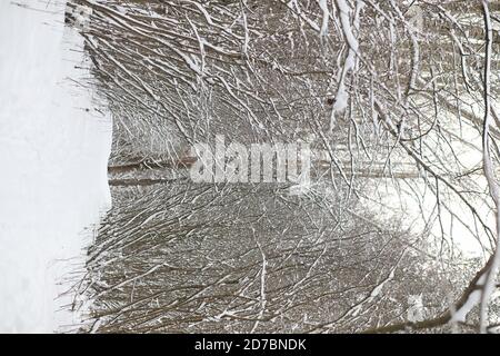 Winterlandschaft Schnee bedeckten Weiten. Ein Park im Winter in den Schnee. Straße an einem Wintertag. Stockfoto