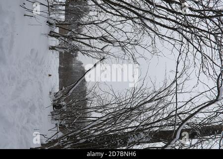 Winterlandschaft Schnee bedeckten Weiten. Ein Park im Winter in den Schnee. Straße an einem Wintertag. Stockfoto