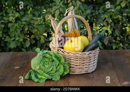 Stillleben im Herbst mit frischem Gemüse aus dem Garten Stockfoto