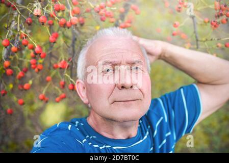 Positiver Großvater im Ruhestand, macht Selfie mit einem Smartphone im Park. Ein älterer Mann geht in der Natur. Stockfoto