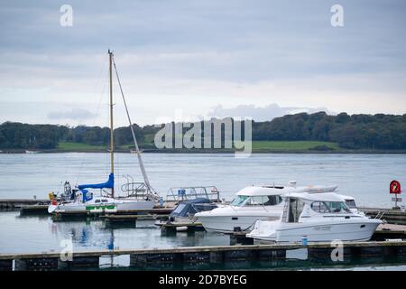 Das Dorf Portaferry in Nordirland Stockfoto