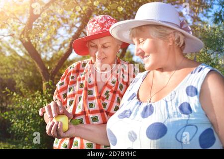 Spaziergang im Garten. Zwei pensionierte Frauen beste Freunde gehen glücklich im Garten. Stockfoto