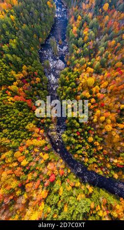 Luftaufnahme des Winding River durch Herbstbäume mit Herbstfarben in Adirondacks, New York, New England Stockfoto