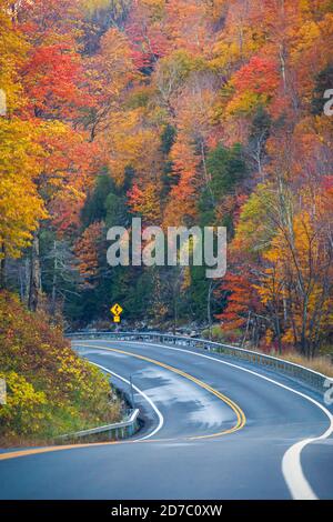 Kurvenreiche Straße durch Herbstbäume mit Herbstfarben in Adirondacks, New York, New England Stockfoto