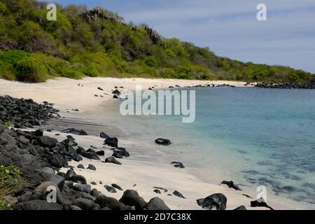 Ecuador Galapagos Inseln - San Cristobal Insel Scenic Beach Baquerizo - Playa Baquerizo Stockfoto