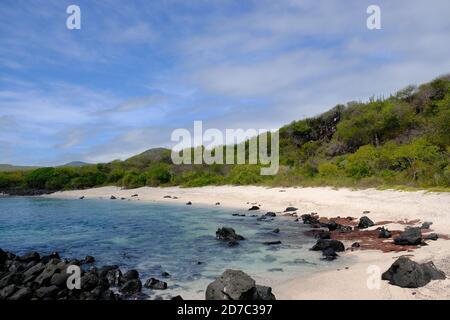 Ecuador Galapagos Inseln - San Cristobal Island Wildlife Beach Baquerizo - Playa Baquerizo Stockfoto