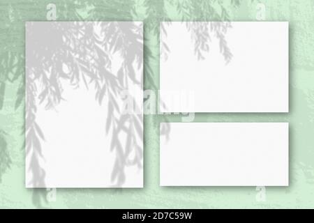 Mehrere horizontale und vertikale Blätter aus weißem strukturiertem Papier vor einem grünen Wandhintergrund. Mockup mit einer Überlagerung von Pflanzenschatten. Tageslicht Stockfoto