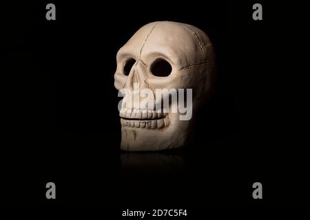 Weißer Tonschädel für den Tag der Opfergabe Stockfoto