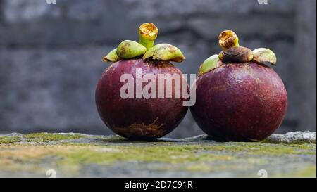 Nahaufnahme von reifen Mangostan-Früchten Stockfoto