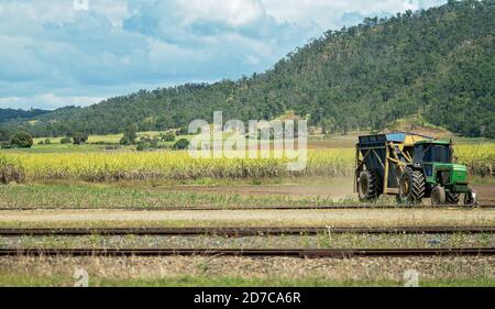 Mackay, Australien - 25. August 2019: Landwirt mit seinem geernteten Zuckerrohr zum Bahngleis, um zur Zuckerfabrik zu fahren Stockfoto