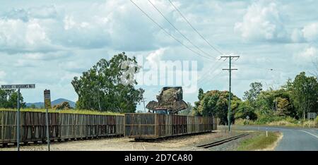 Mackay, Australien - 25. August 2019: Bauer leert sein geerntetes Zuckerrohr in Mülltonnen, um mit der Bahn zur Raffinerie zu transportieren Stockfoto