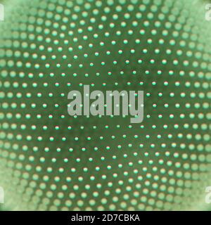 Hochtechnologie, Visualisierung des Datenrasters, Informationsfluss. Abstrakte grüne Teilchen, die eine Kugel bilden. Digitales 3D-Rendern. Stockfoto