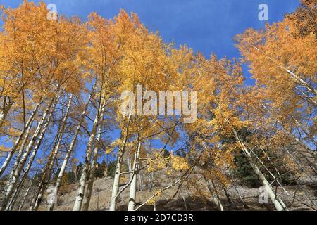 Desktop-Hintergründe aus Colorado Stockfoto