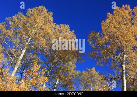 Desktop-Hintergründe aus Colorado Stockfoto