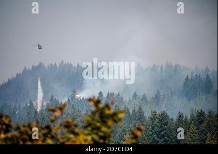 Helikopter, der Wasser auf einem Waldfeuer im Staat Washington ablässt Stockfoto