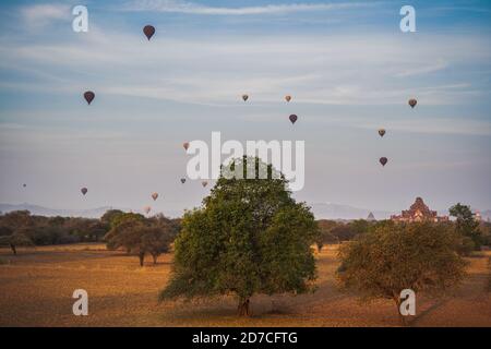 Sonnenaufgang über einem Tempel in Bagan, Myanmar Stockfoto