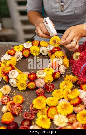 Machen Kranz Herbst bunte Strohblume Stockfoto