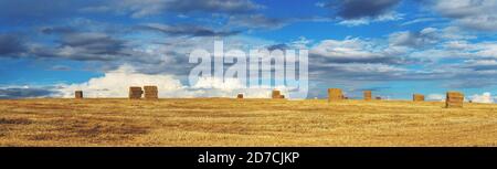 Ländliche sonnige Panoramalandschaft mit Heuhaufen in Farm Feld während Sonnenuntergang Stockfoto