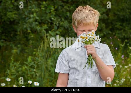 Ein Junge schnüffelt im Sommer ein paar Gänseblümchen Im Freien Stockfoto