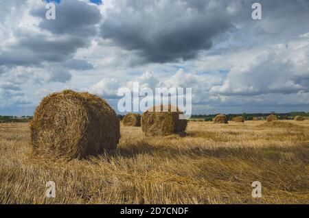 Dunkle stürmische Wolken über dem Farmfeld mit Heuhaufen. Stockfoto