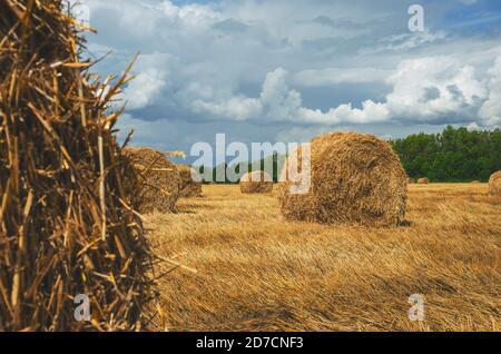 Dunkle stürmische Wolken über dem Farmfeld mit Heuhaufen. Stockfoto