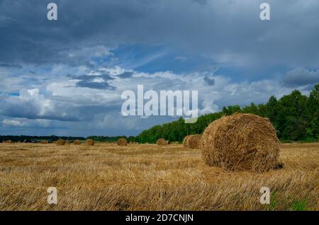 Dunkle stürmische Wolken über dem Farmfeld mit Heuhaufen. Stockfoto