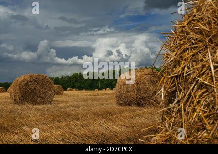 Dunkle stürmische Wolken über dem Farmfeld mit Heuhaufen. Stockfoto
