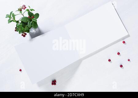 Blankopapier offenes Album in Sonnenstrahl mit roten Beeren Preiselbeere und grünen Blättern auf weißem Holzbrett Draufsicht, Kopierraum. Stockfoto