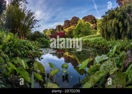 Trebah Garten; Feder; Cornwall, UK Stockfoto