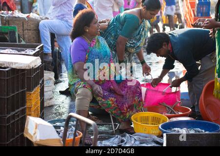 Mumbai, Indien - 15. Februar 2019: Lokale Menschen verkaufen Sorten von Fischen auf lokalen Fischmarkt. Stockfoto