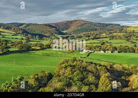 Moel Famau in der Clwydian Mountain Range von den Unechten aus gesehen Country Park im Herbst in der Nähe von Mold North Wales UK Oktober 2019 2509 Stockfoto