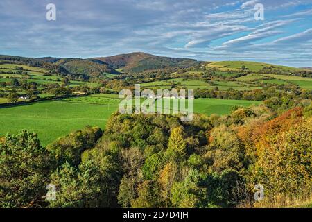 Moel Famau in der Clwydian Mountain Range von den Unechten aus gesehen Country Park im Herbst in der Nähe von Mold North Wales UK Oktober 2019 2584 Stockfoto