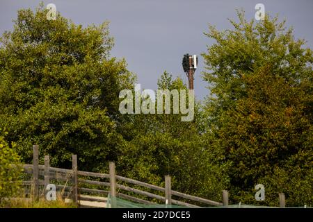 Getarnter Antennenmast in einem Wald. Stockfoto