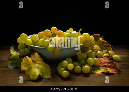 Reifes Büschel Bio-Tafeltrauben, auf einem Tisch mit schwarzem Hintergrund platziert. Abruzzen, Italien Stockfoto