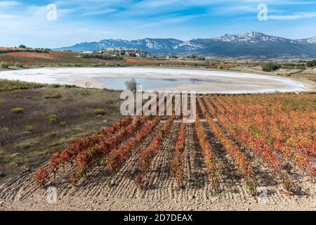 Weinberg und Carralogroño See im Herbst mit LaGuardia Stadt als Hintergrund, Rioja Alavesa, Spanien Stockfoto