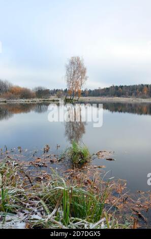 Wolkige Herbstlandschaft mit Bäumen am Ufer des Waldsees. Stockfoto