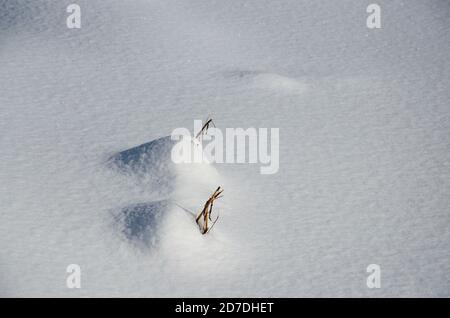 Abstrakter Winter schneebedeckter Hintergrund mit zwei Schneeverwehungen. Stockfoto